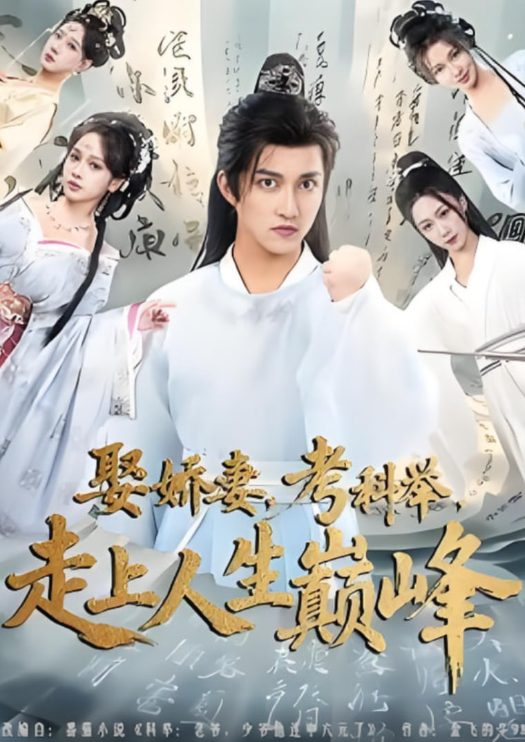 娶娇妻，考科举，走上人生巅峰(全集)