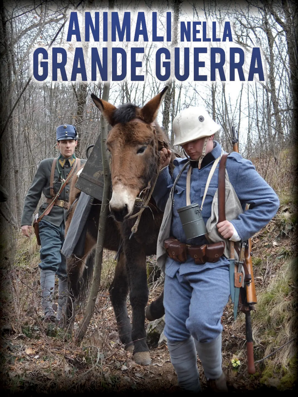 战争中的动物(全集)