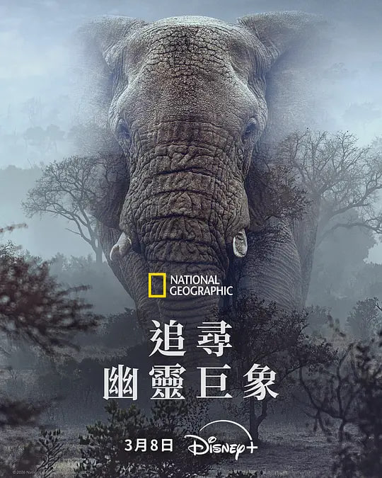 追寻幽灵大象(全集)