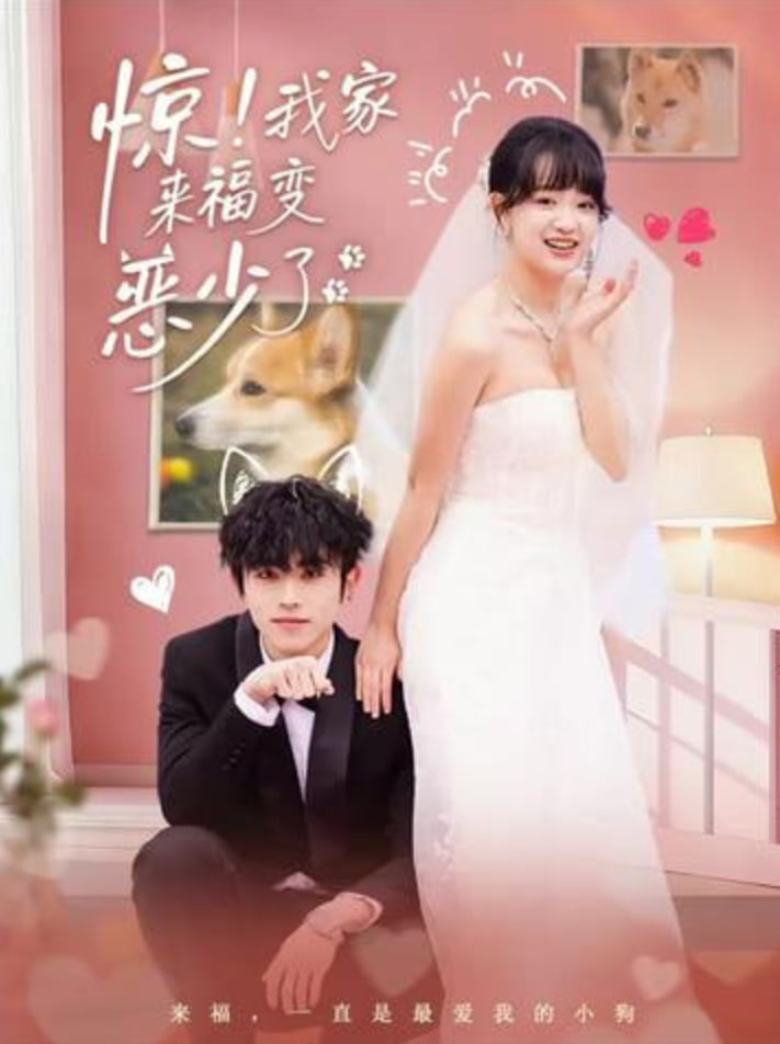 惊！我家来福变恶少了（忠犬变恶少）(全集)