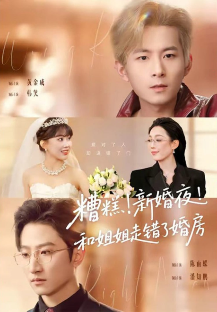 糟糕！新婚夜！和姐姐走错了婚房(糟糕新婚夜和姐姐走错了婚房)(全集)