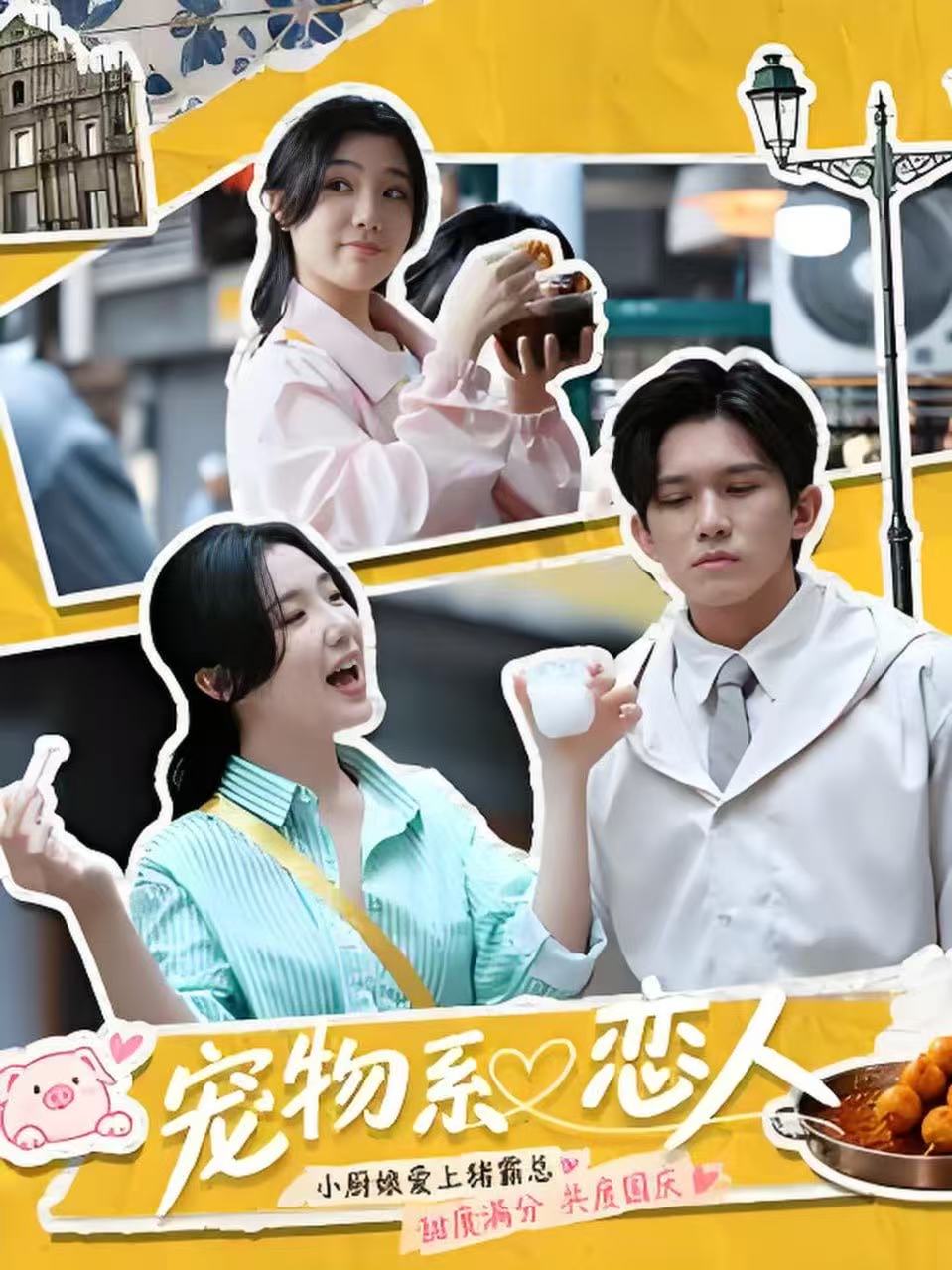 宠物系恋人