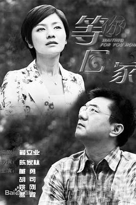 我在等你回家第16集