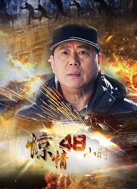 惊情48小时第13集