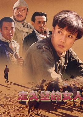走戈壁的女人第17集