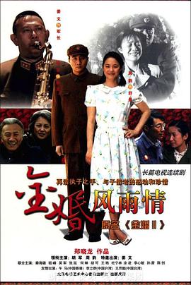 金婚·风雨情第01集