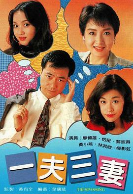 一夫三妻国语第01集