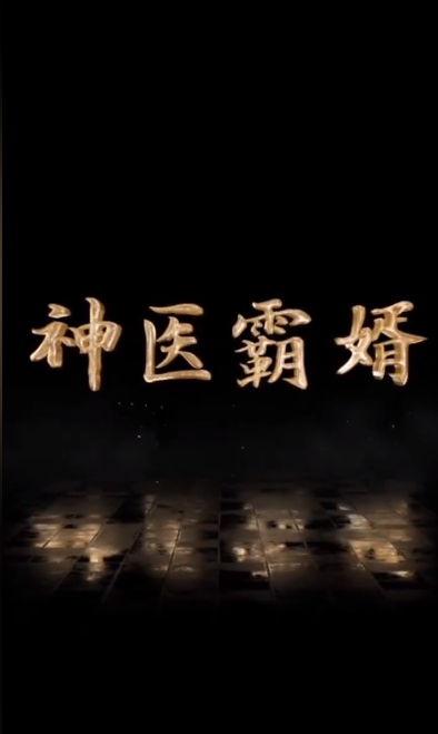 神医霸婿第21集