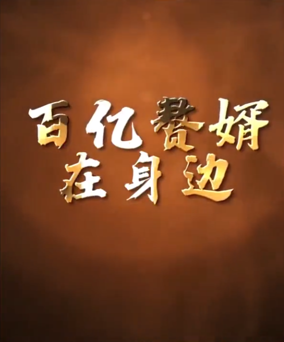 百亿赘婿在身边第53集