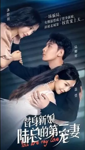替身新娘:陆总的第一宠妻第88集
