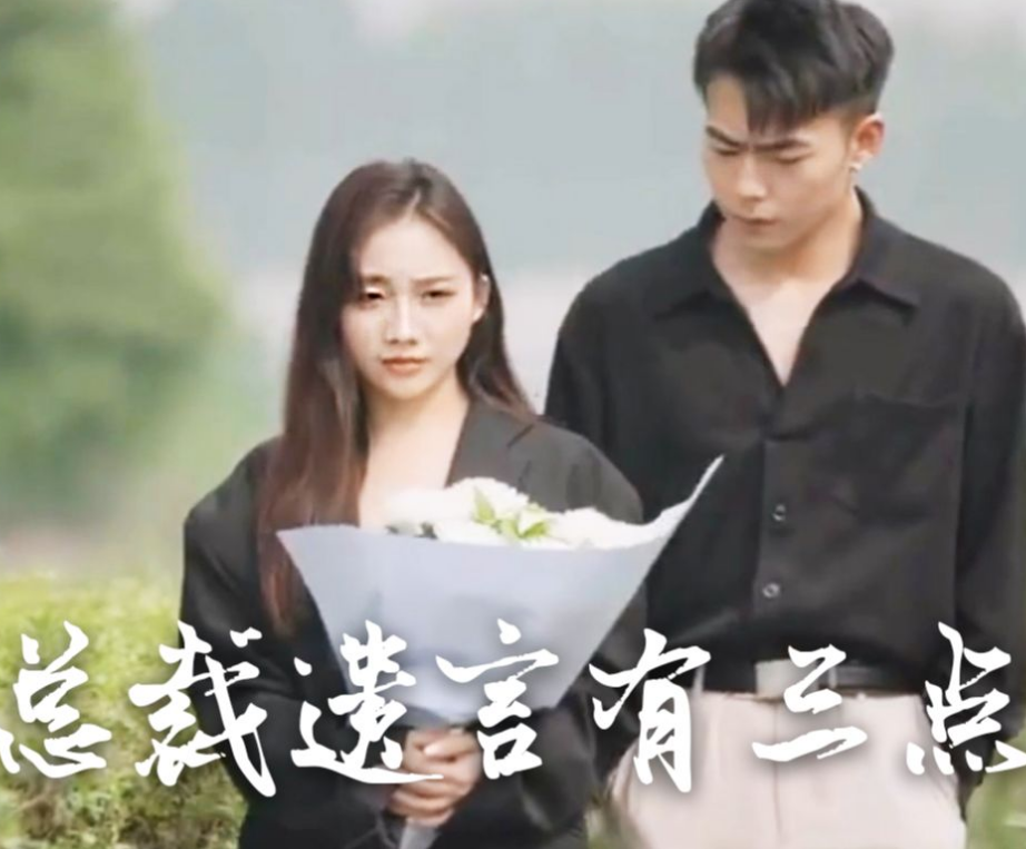 总裁遗言有3点第47集