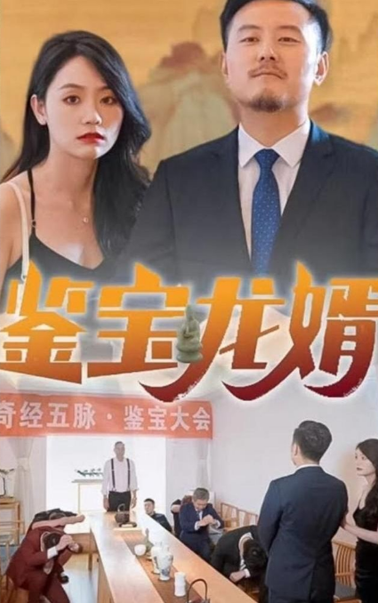 鉴宝龙婿第52集