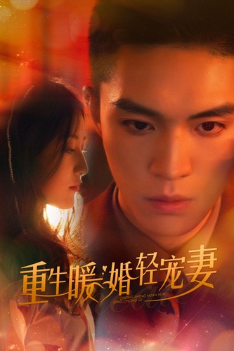 重生暖婚轻宠妻短剧第11集
