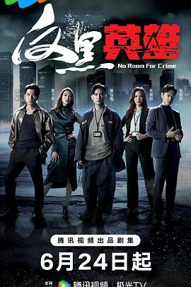 反黑英雄国语第05集