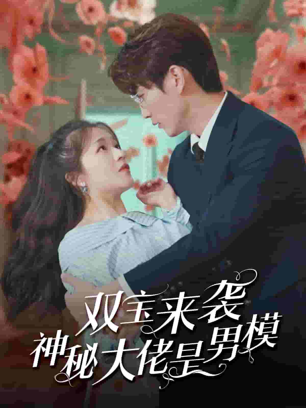 双宝来袭神秘大佬是男模第05集