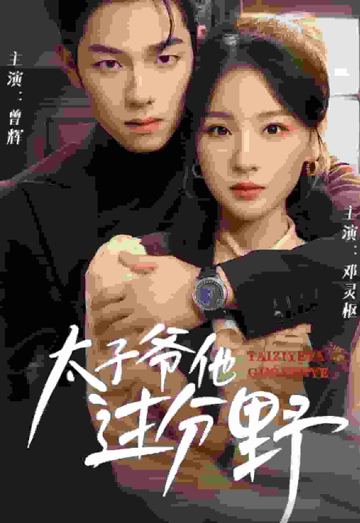他过分野第13集