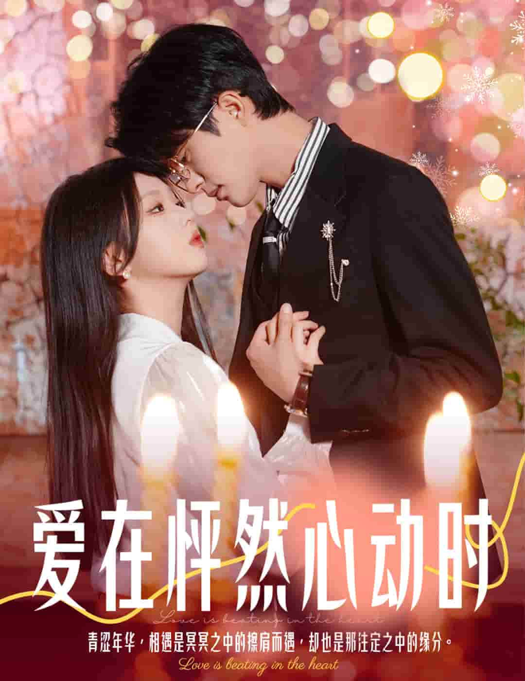 结婚你不答应离职你追什么第24集