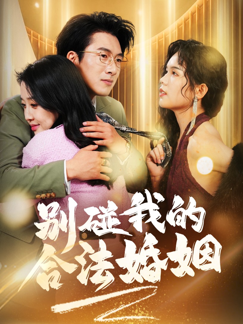 别碰我的合法婚姻第13集