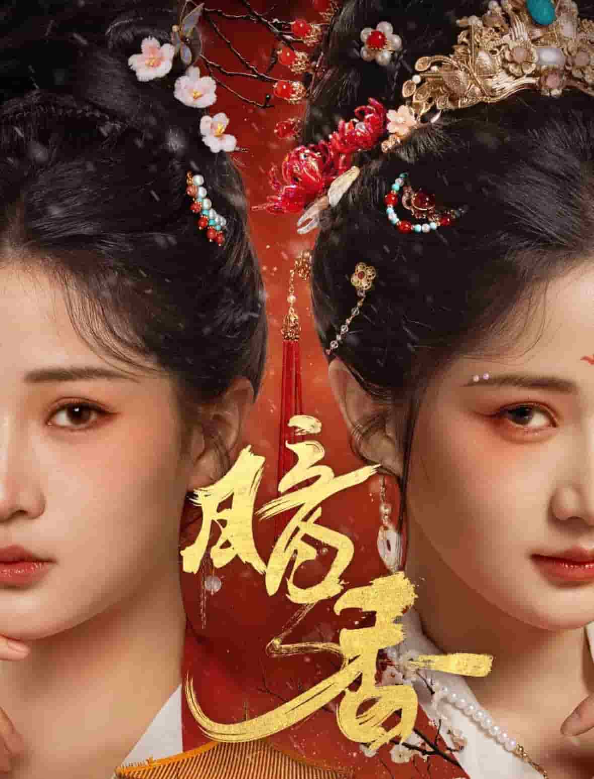 暗香（短剧版）第43集