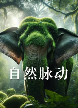 自然脉动(全集)