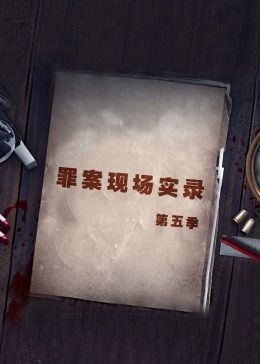 罪案现场实录 第五季(全集)