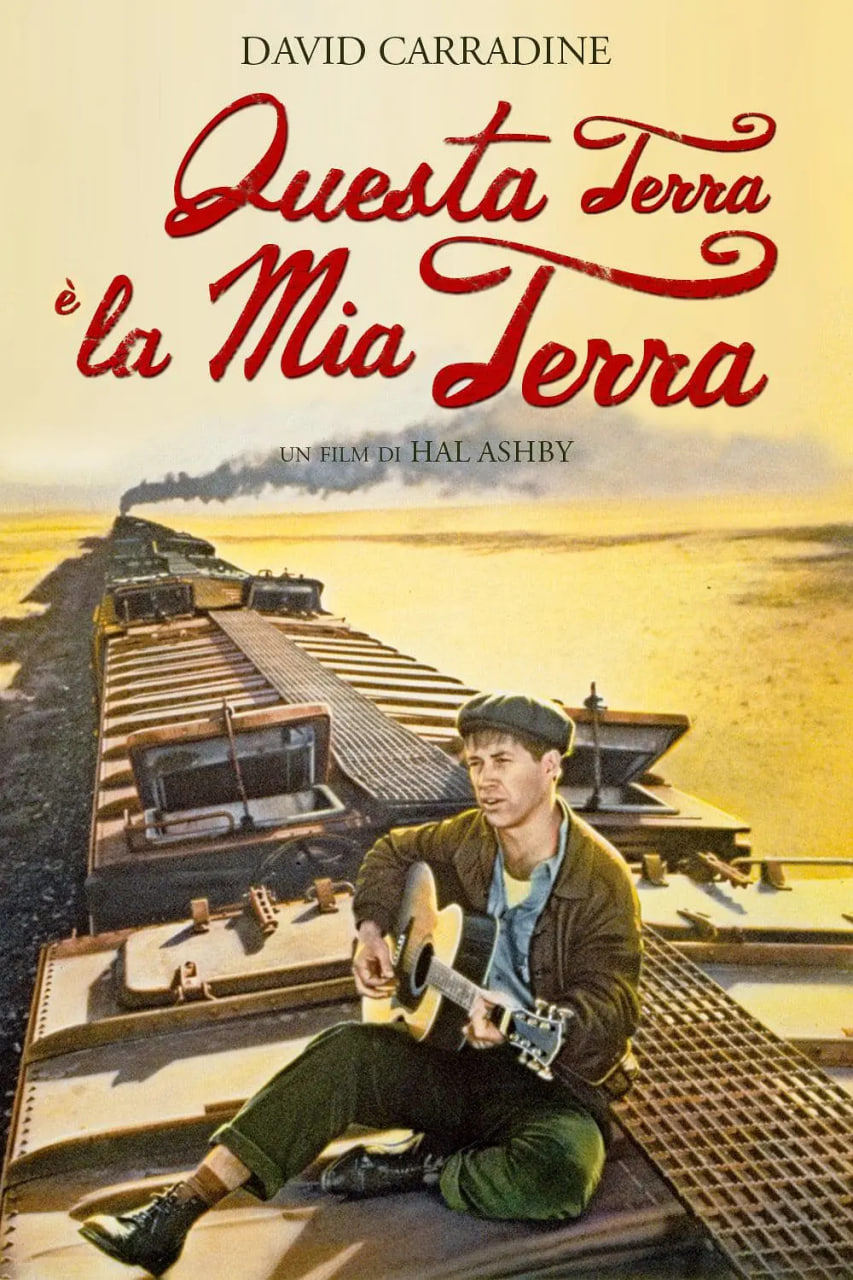 光荣何价(全集)