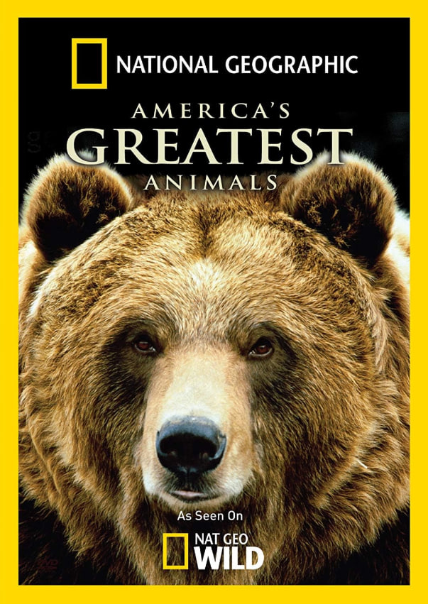 美洲伟大的动物(全集)