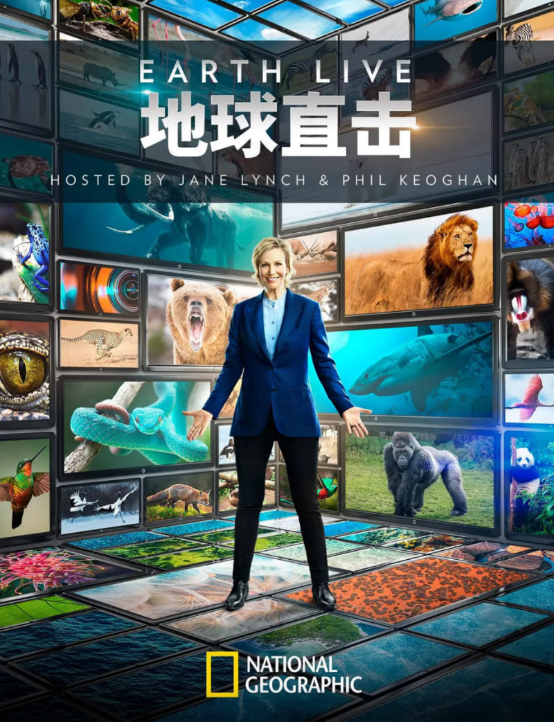 地球直击(全集)