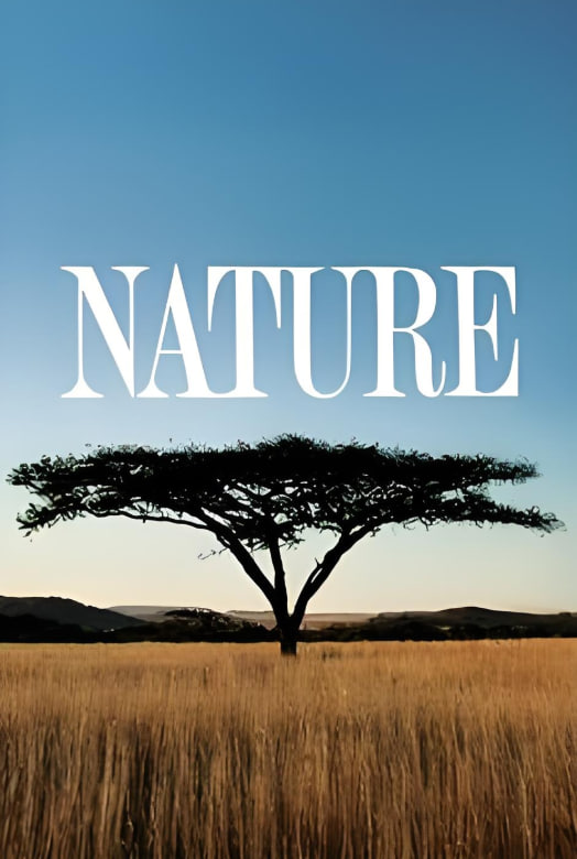 自然 第三十九季(全集)