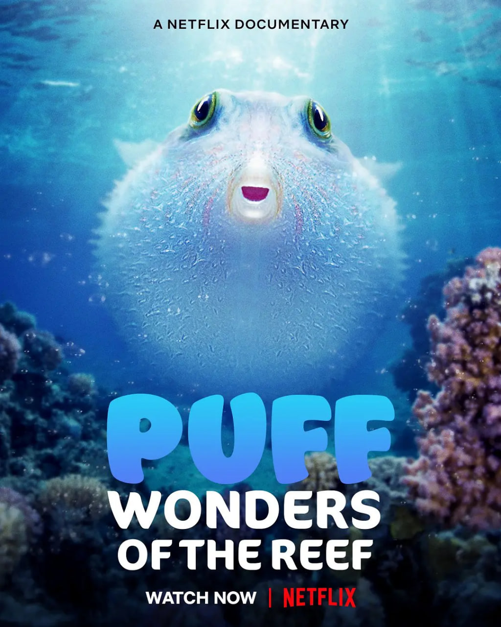 河豚之家：神奇的珊瑚礁(全集)