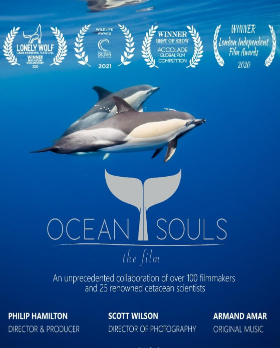 海洋之魂(全集)