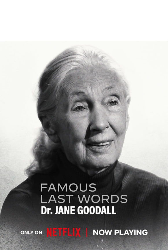 临终遗言(全集)